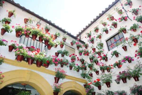 Excursión a Córdoba y la Mezquita desde Sevilla - Imagen 4