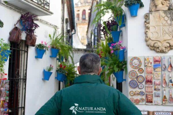 Excursión a Córdoba y la Mezquita desde Sevilla - Imagen 3